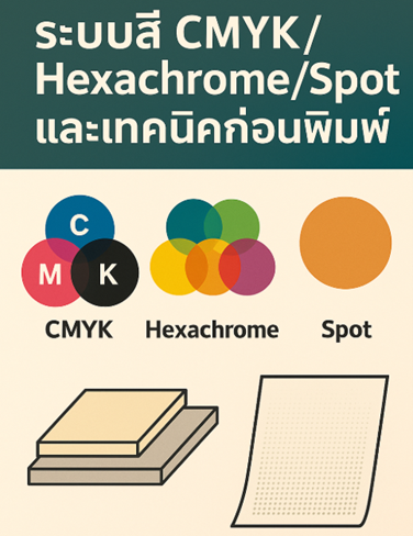 เปรียบเทียบระบบสี CMYK Hexachrome และ Spot Color พร้อมเทคนิคก่อนพิมพ์