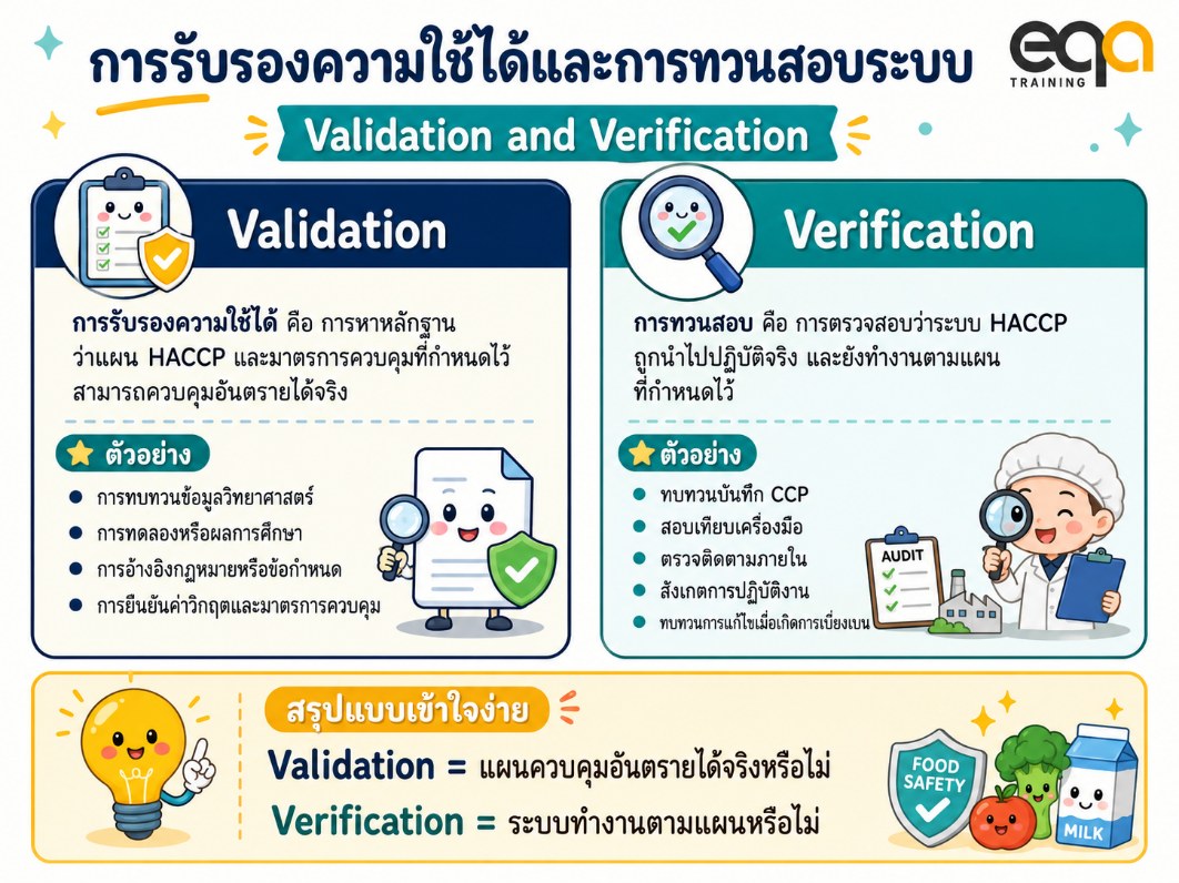 อินโฟกราฟิกเปรียบเทียบ Validation และ Verification ในระบบ HACCP