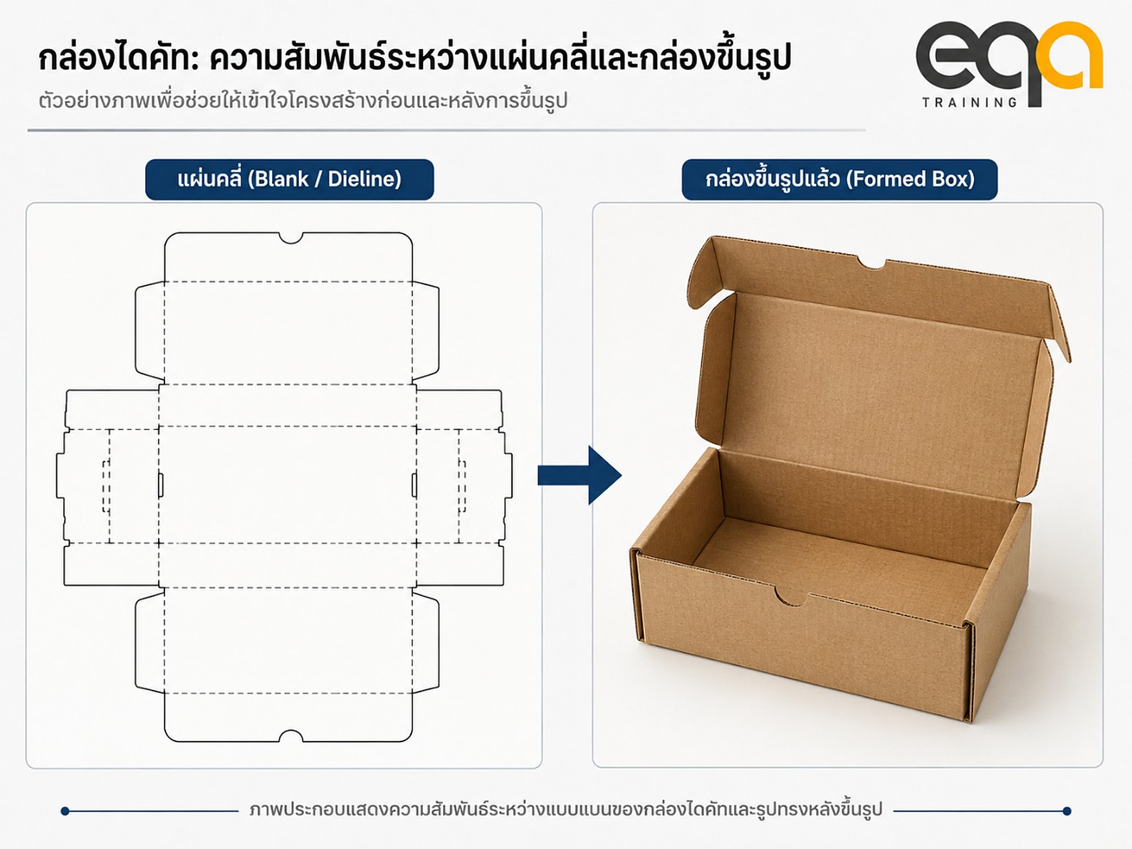 กล่องไดคัท ความสัมพันธ์ระหว่างแผ่นคลี่หรือ Dieline กับกล่องเมื่อขึ้นรูปแล้ว