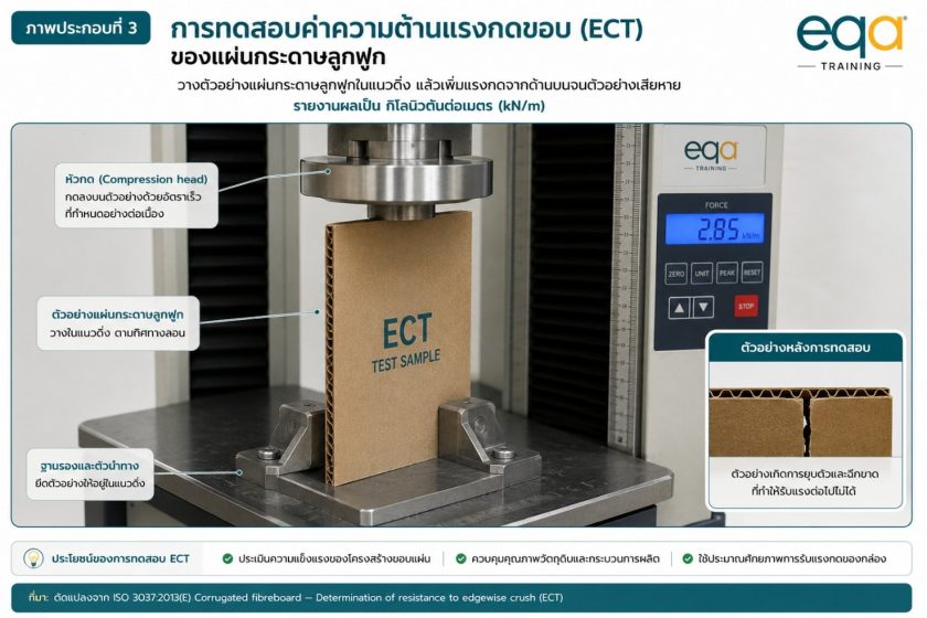 การทดสอบความต้านแรงกดขอบ ECT วางตัวอย่างแผ่นกระดาษลูกฟูกตั้งในแนวดิ่งแล้วเพิ่มแรงกดจากด้านบนจนเสียหาย