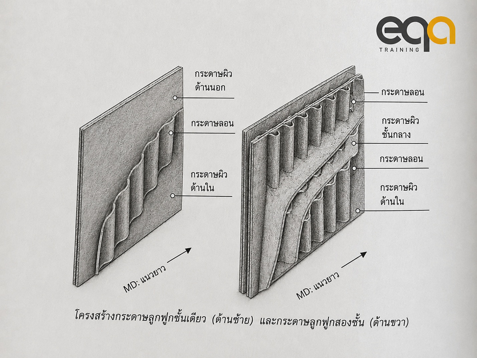 กระดาษลูกฟูกคืออะไร? ตอนที่ 1: รู้จักโครงสร้าง Single-wall และ Double-wall | EQA Thailand