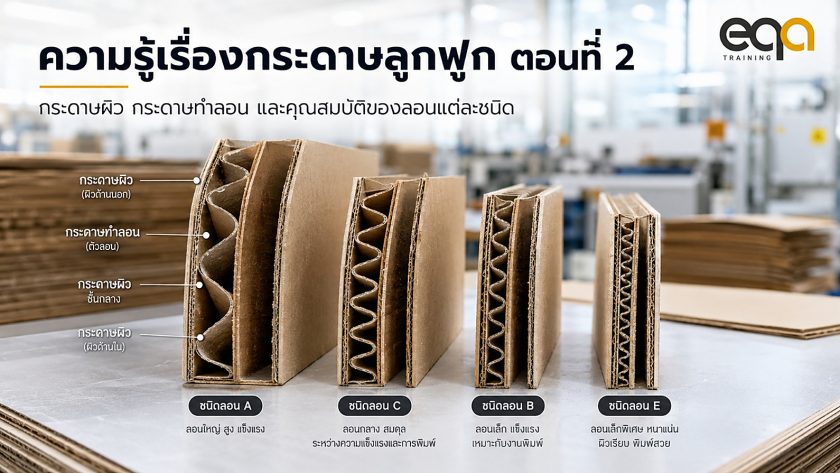 ความรู้เรื่องกระดาษลูกฟูก ตอนที่ 2: กระดาษผิว กระดาษทำลอน และคุณสมบัติของลอนแต่ละชนิด | EQA Thailand