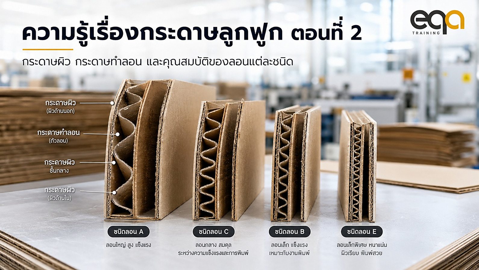 ความรู้เรื่องกระดาษลูกฟูก ตอนที่ 2: กระดาษผิว กระดาษทำลอน และคุณสมบัติของลอนแต่ละชนิด | EQA Thailand